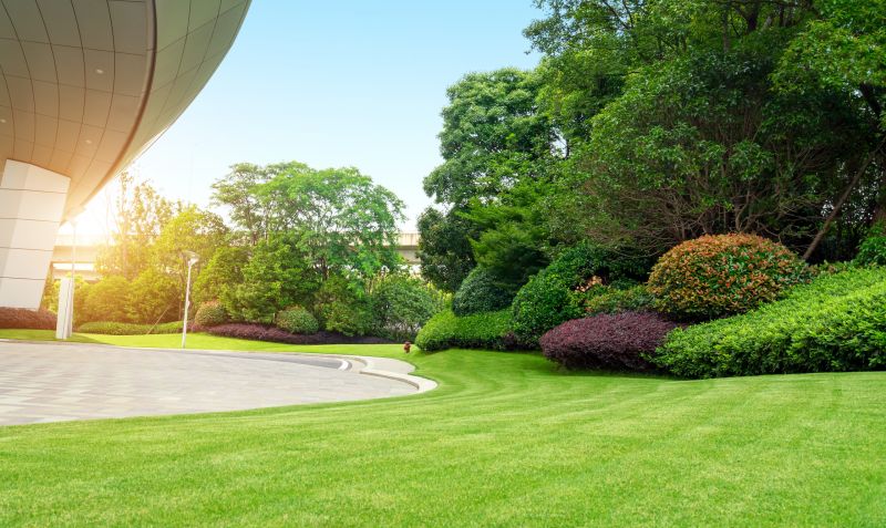 Landscaping Modification in Honolulu, HI