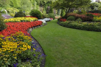 Office Landscaping Design in Honolulu, HI
