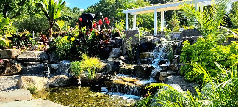 Water Garden Installation in Honolulu, HI