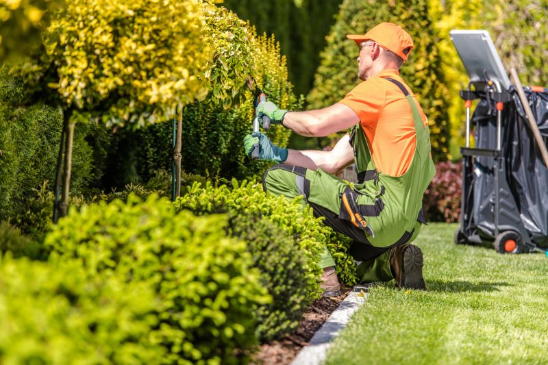 Damaged Yard Repair in Honolulu, HI